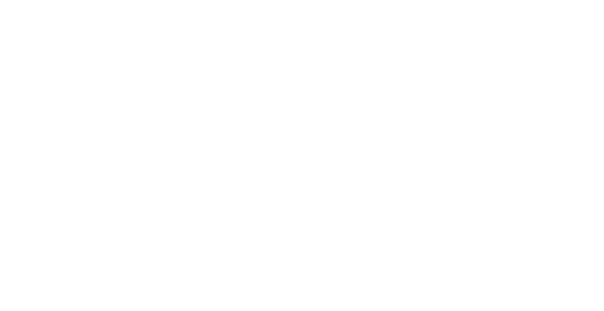 logo de safe transpot in cusco